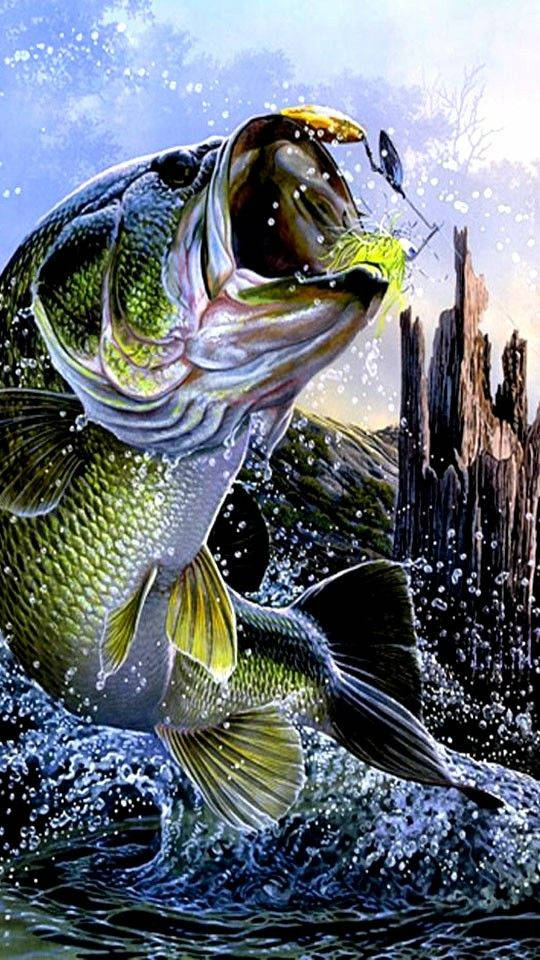 Largemouth Bass, green bass, water, SD Phone Wallpaper