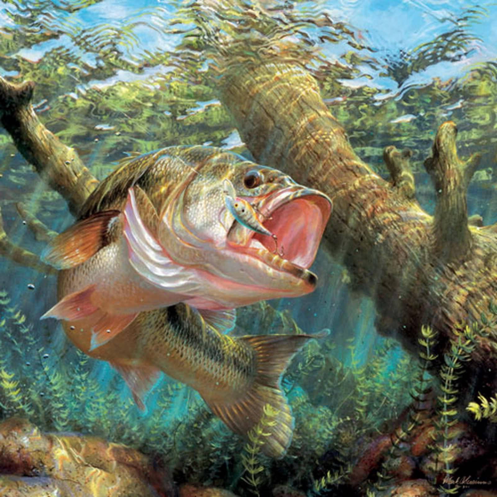 Largemouth Bass, sunlit submerged logs, green plants, HD Desktop Wallpaper