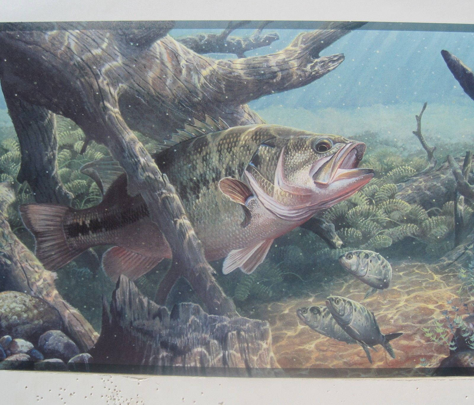 bass fishing, large bass fish, submerged logs, HD Desktop Wallpaper