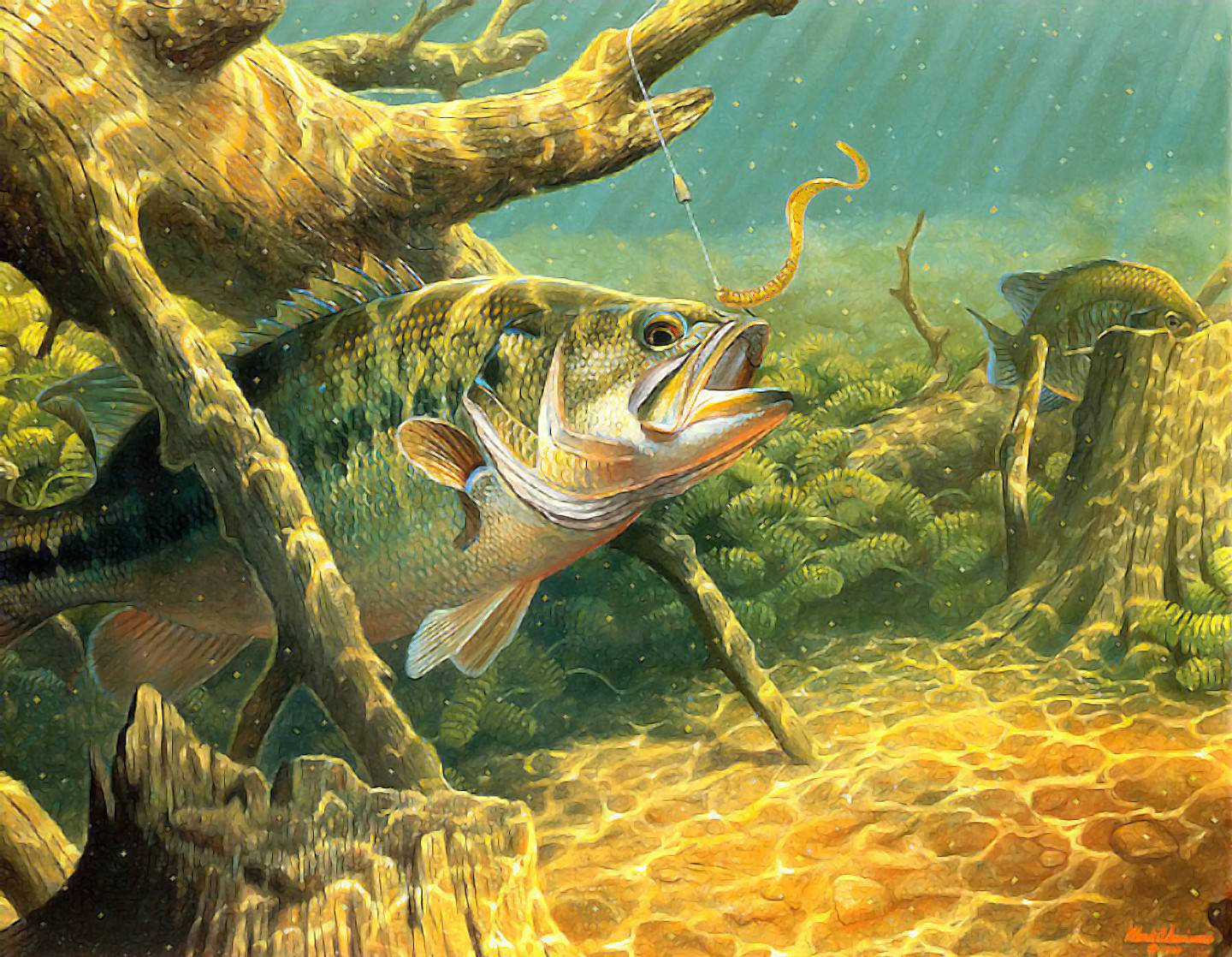 Largemouth Bass, lure, sunlit submerged logs, HD Desktop Wallpaper