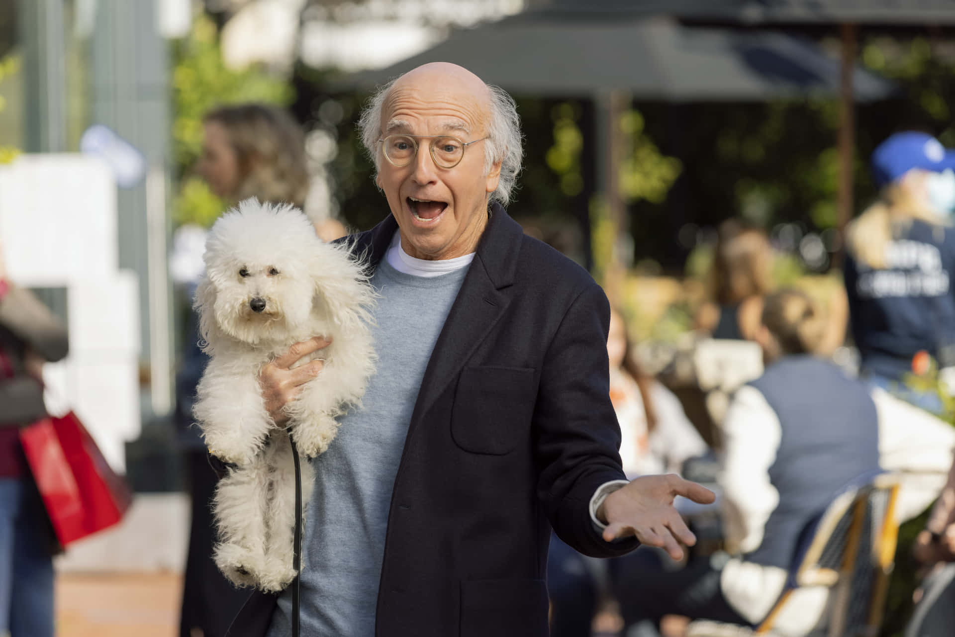 Larry David, glasses, fluffy white dog, Full HD Desktop Wallpaper