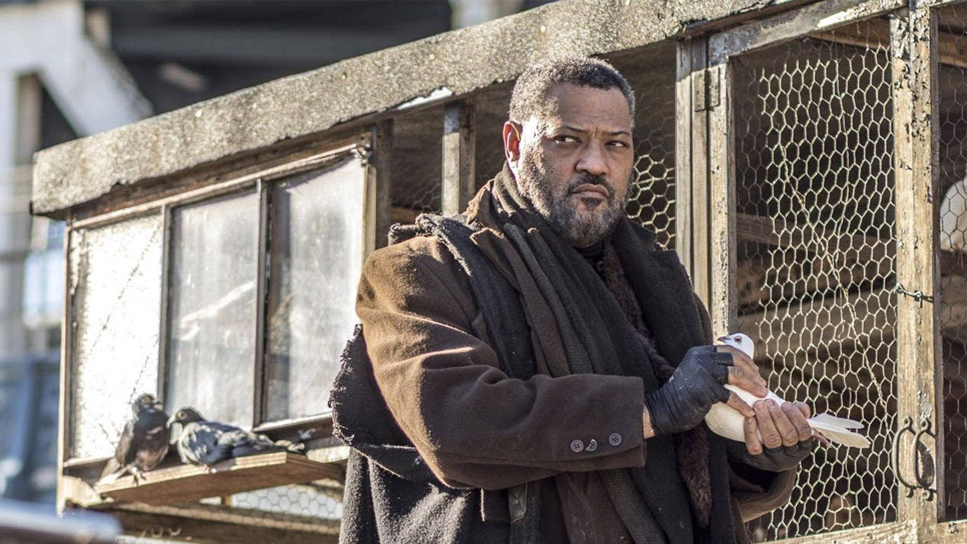 Laurence Fishburne, brown coat, scarf, Full HD Desktop Wallpaper