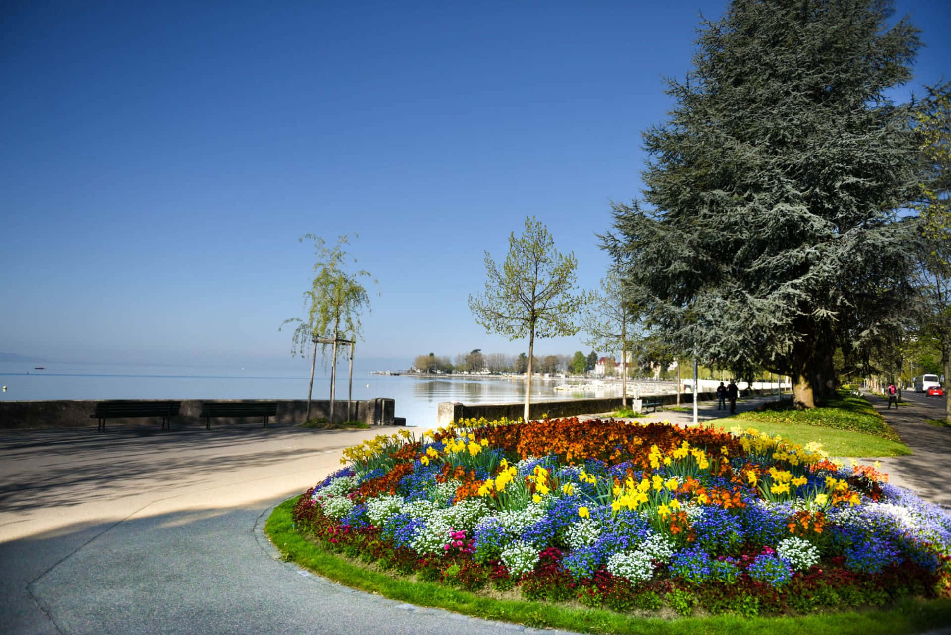 Lausanne, lakefront, floral display, Full HD Desktop Wallpaper