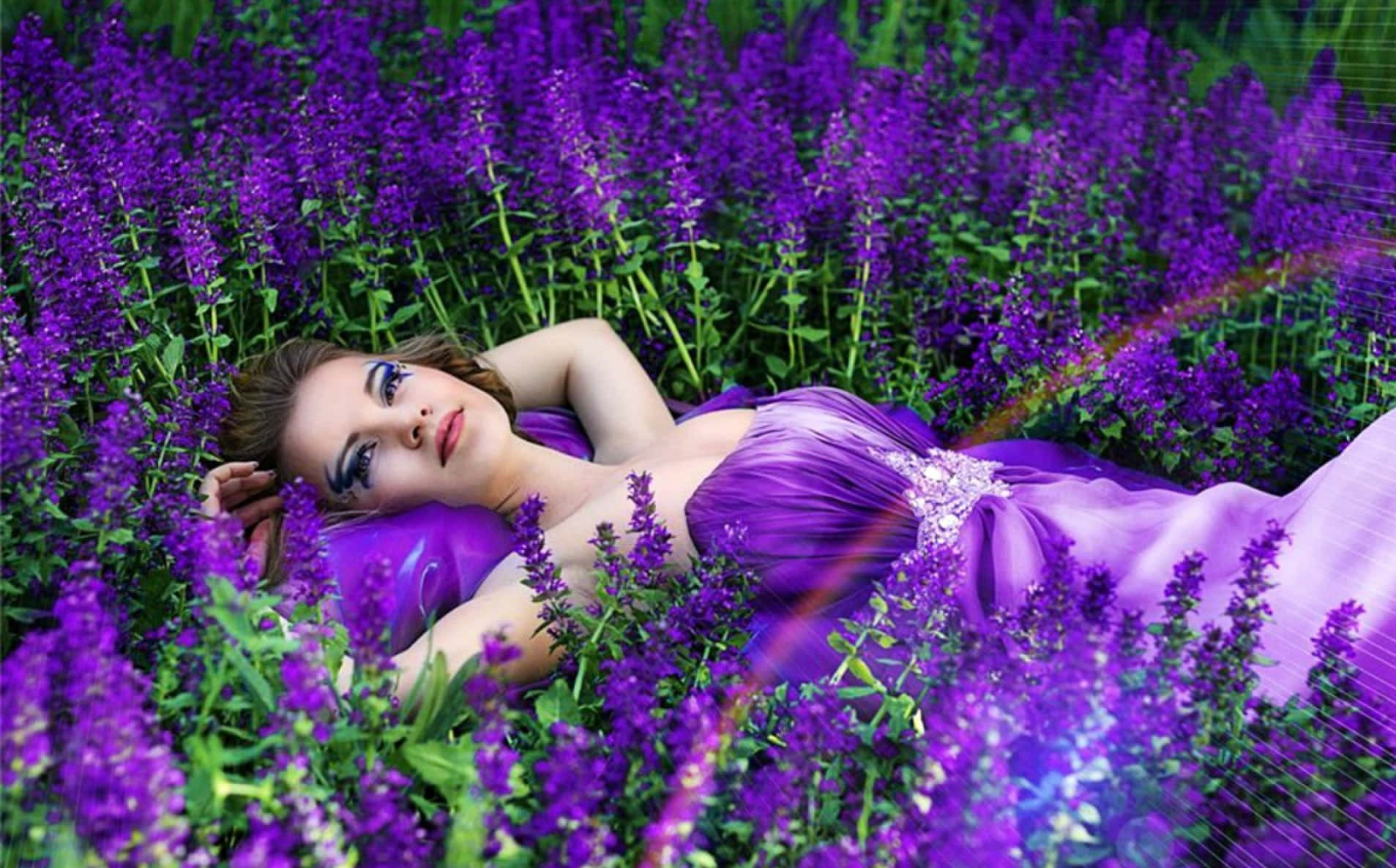 amateur model, lavender field, purple gown, HD Desktop Wallpaper