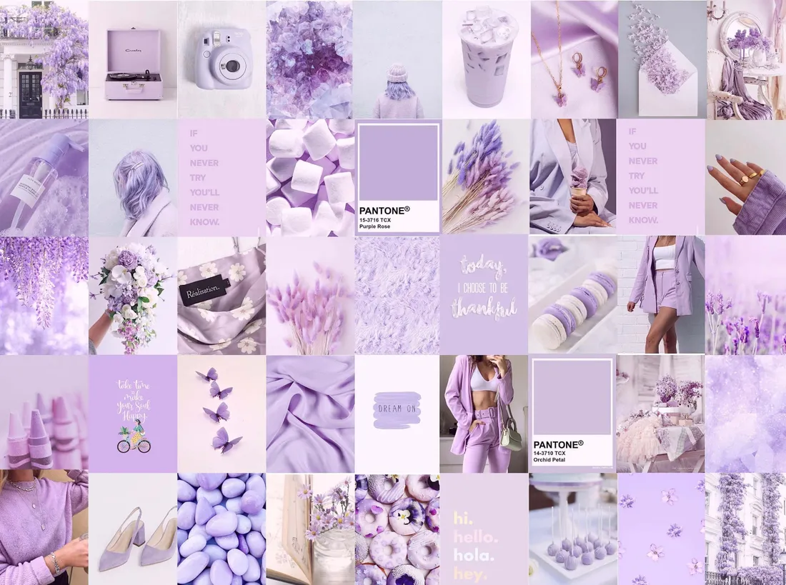 Lavender Purple
