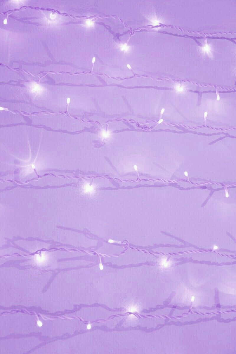 Lavender Purple, fairy lights, white fairy lights, SD Phone Wallpaper