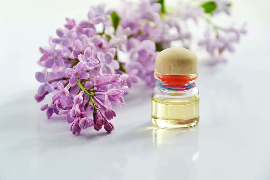 golden essential oil, purple lilac blossoms, bright white surface, SD Desktop Wallpaper