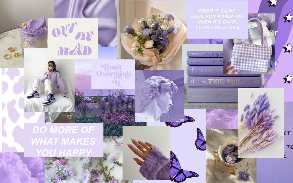 Lavender, collage, flowers, SD Desktop Wallpaper
