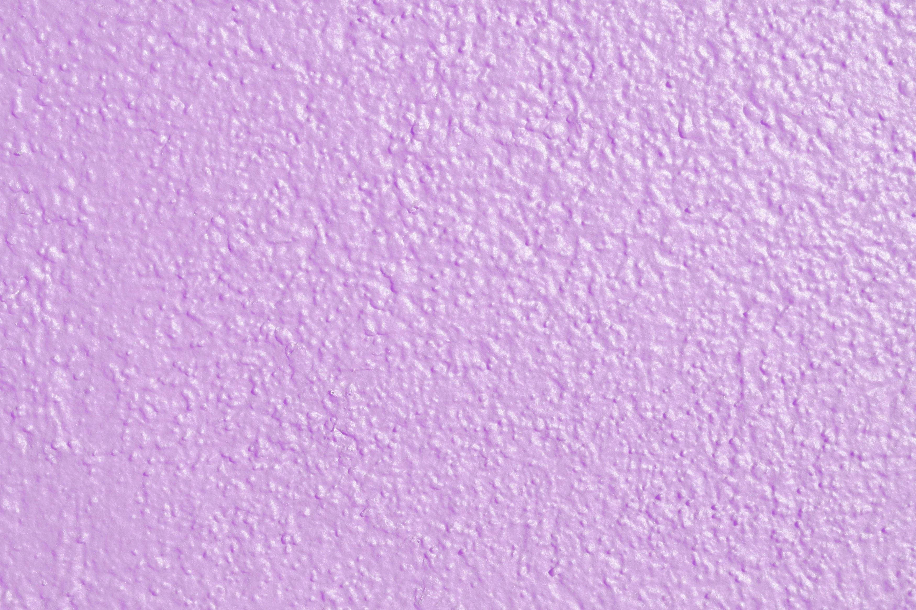 lavender, concrete wall, lilac lavender, 2K Desktop Wallpaper