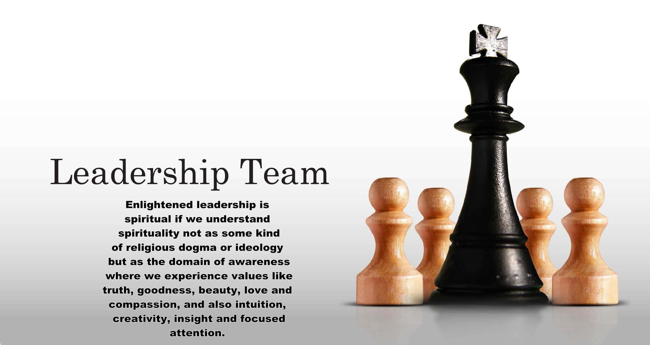 black chess king, wooden pawns, gradient gray background, Full HD Desktop Wallpaper