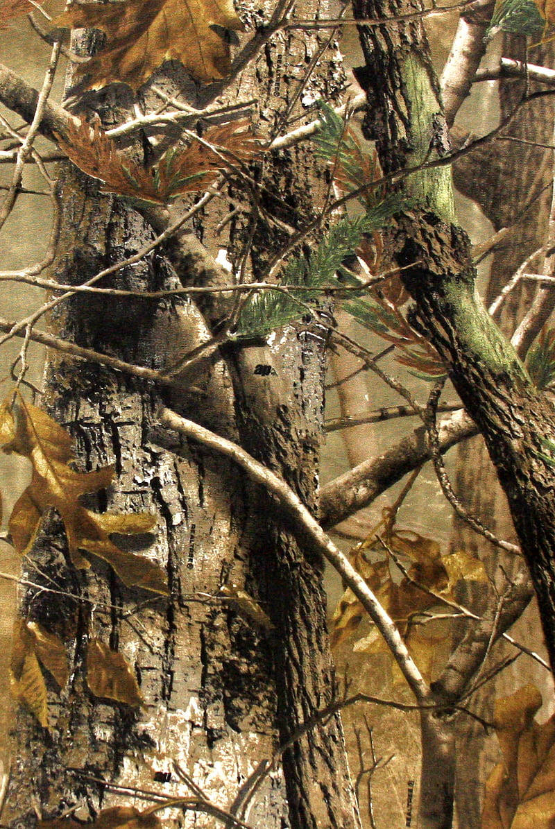 dried leaves, Realtree branch, tree bark, SD Phone Wallpaper