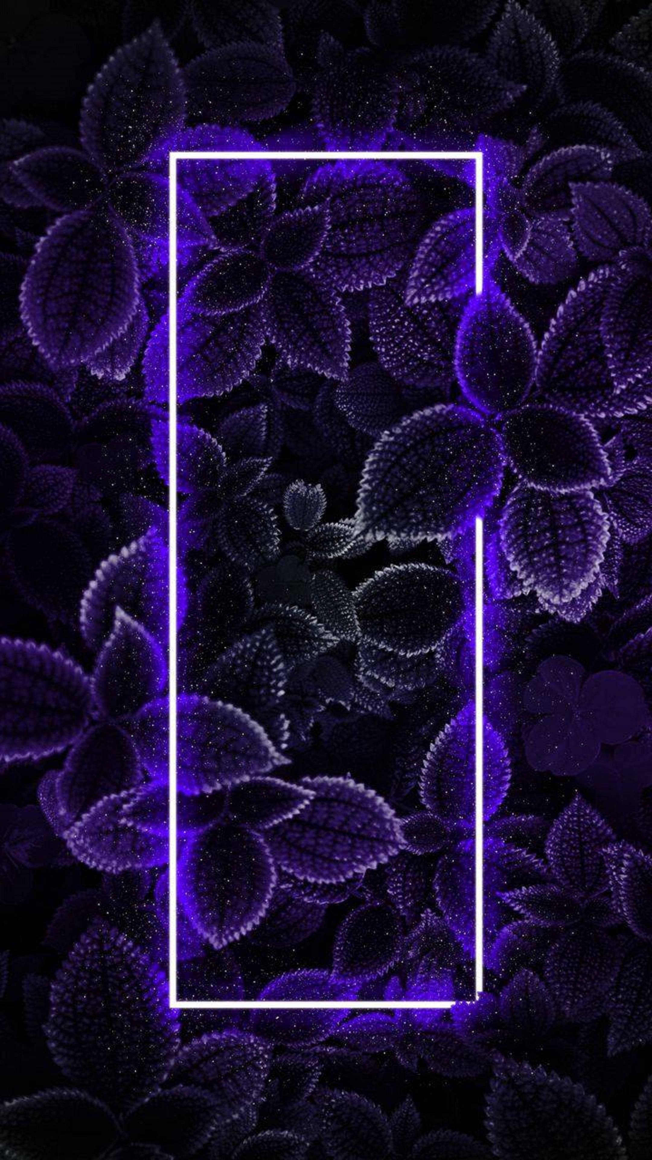 neon purple, dark purple leaves, black background, 4K Phone Wallpaper