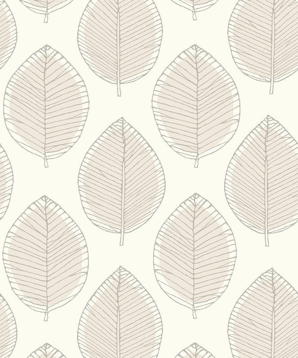 Neutral iPhone Leaf Sketch, beige leaves, fine gray veins, SD Phone Wallpaper