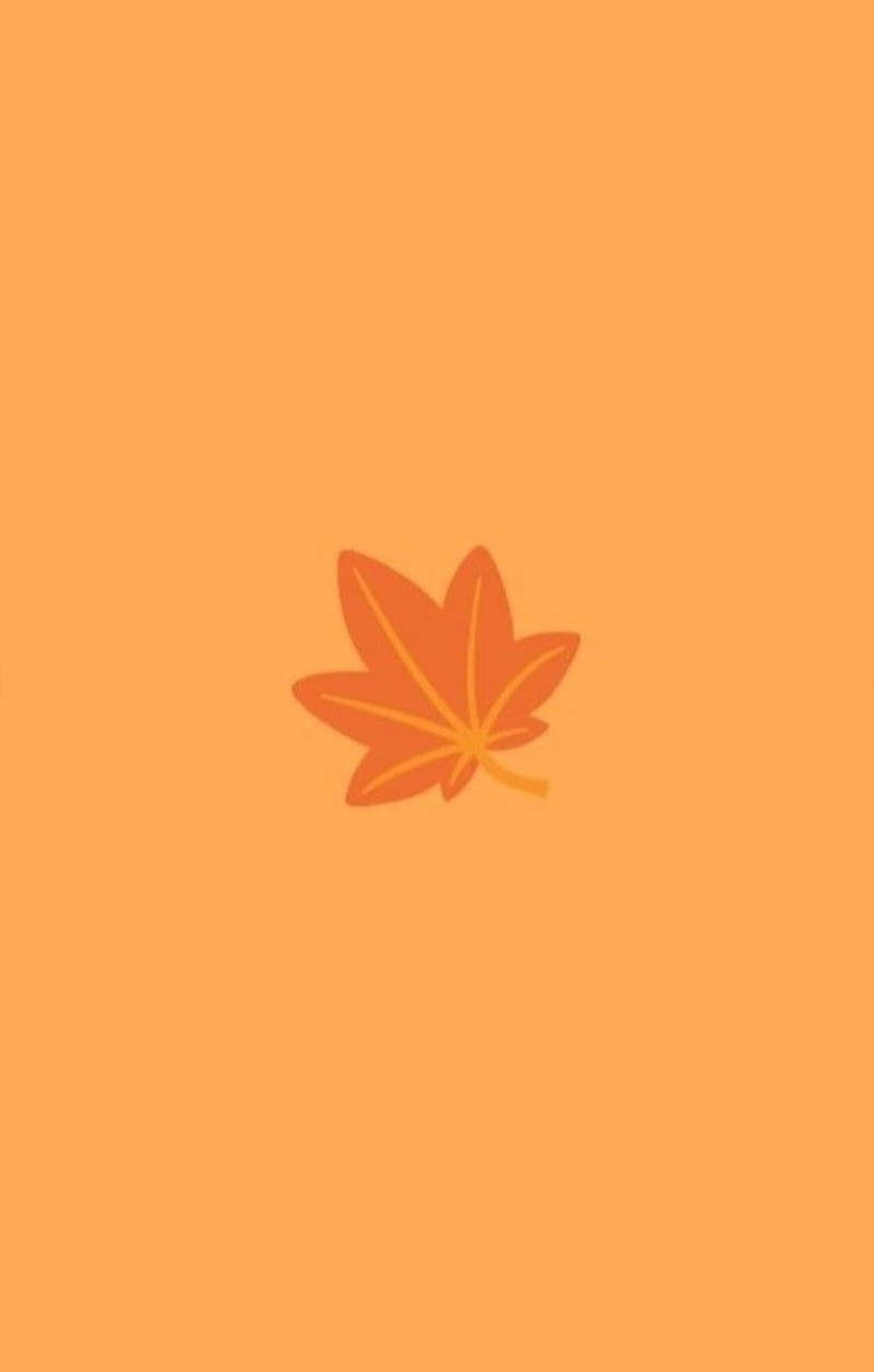 orange maple leaf, solid warm orange background, Cute Fall Phone, SD Phone Wallpaper