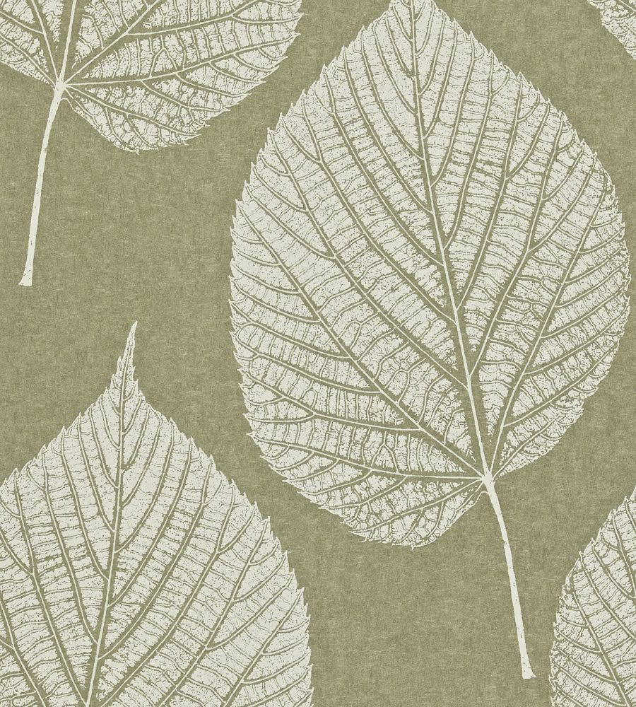 white leaf impression, olive green, textured wallpaper background, SD Phone Wallpaper
