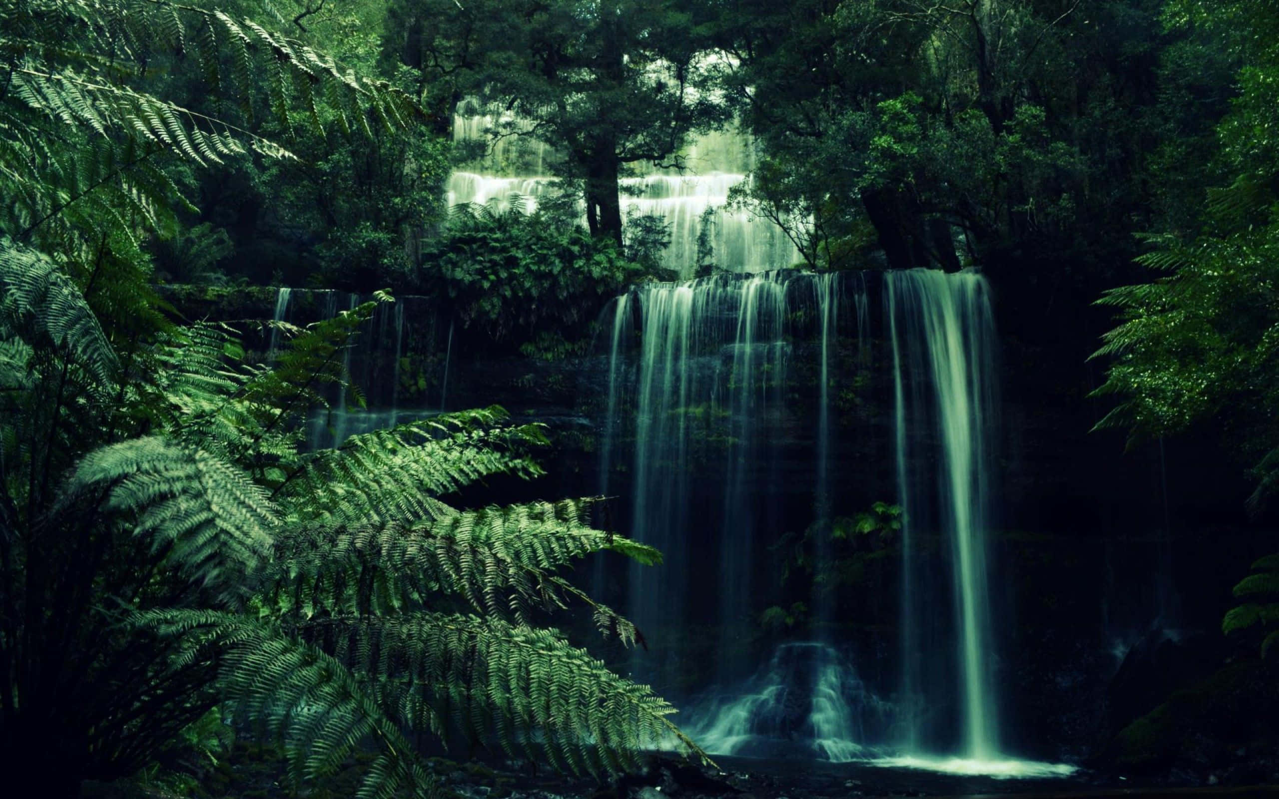 olive greenaesthetic, desktop, waterfall, 2K Desktop Wallpaper