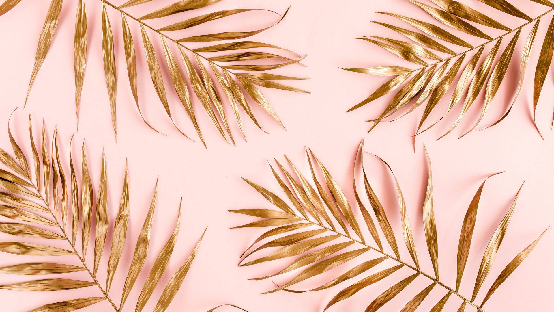 baby pink surface, dried leaves, golden palm fronds, Full HD Desktop Wallpaper
