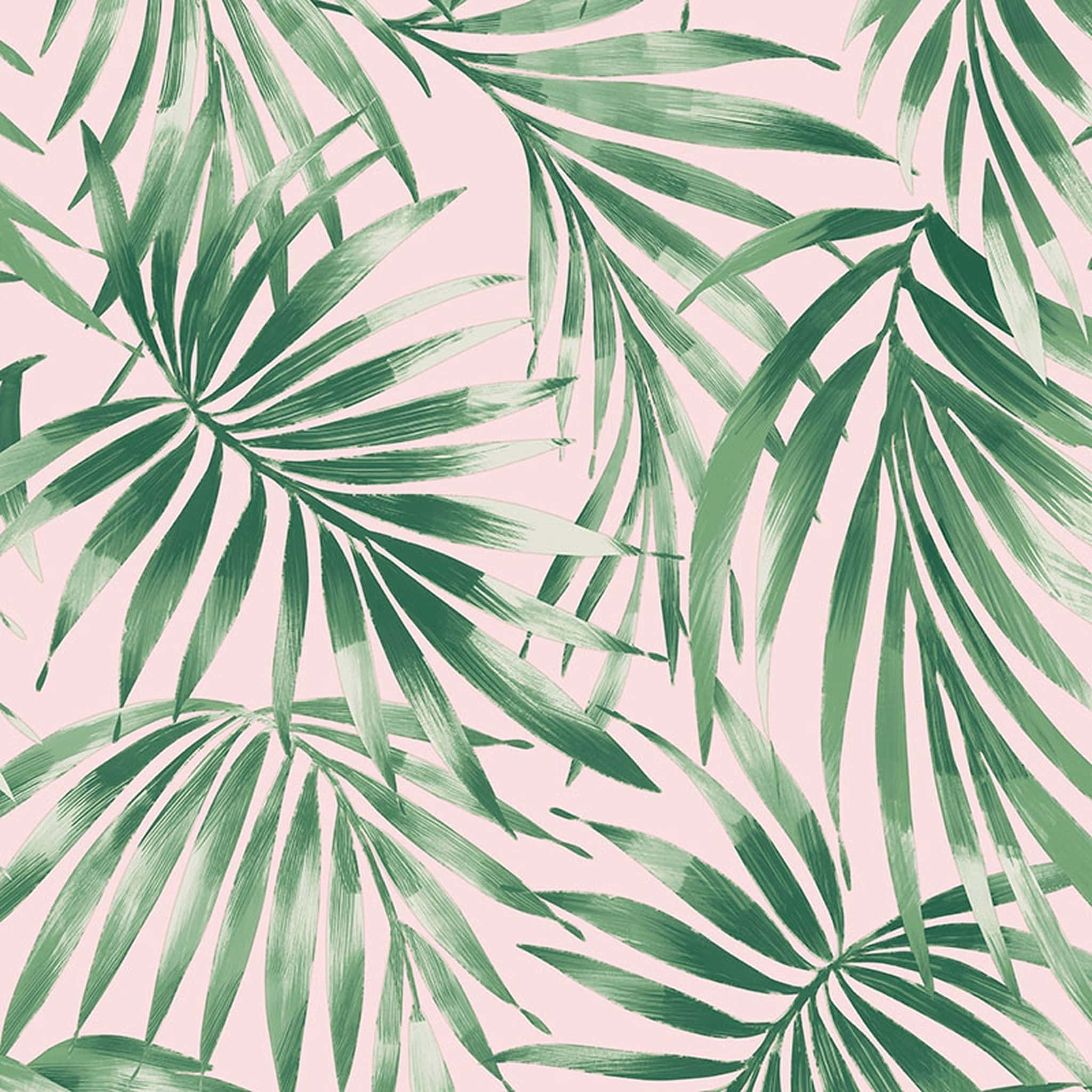cute leaves, glossy leaves, palm leaves, Full HD Desktop Wallpaper