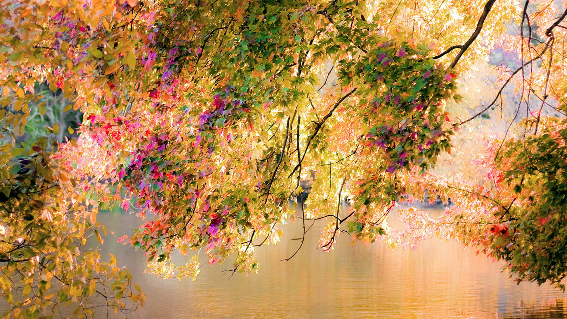 November Fall, autumn leaves, golden pink and green hues, Full HD Desktop Wallpaper
