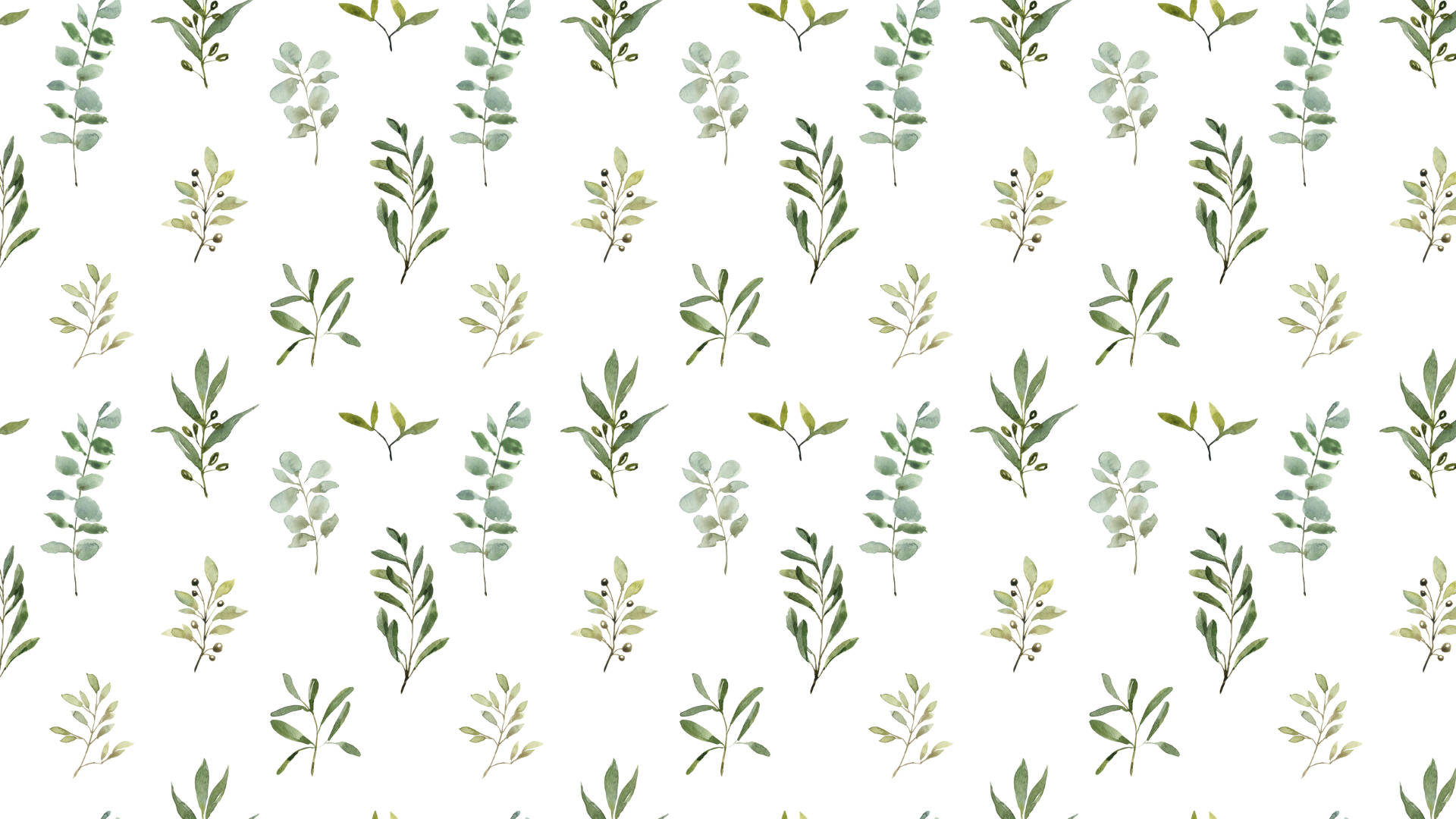 watercolor leaves patterns, eucalyptus, olive branches, Full HD Desktop Wallpaper
