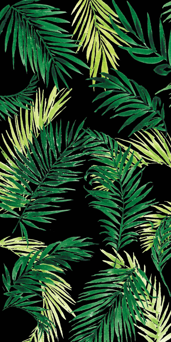 painted thin leaves aesthetic, vibrant green palm fronds, stark black background, HD Phone Wallpaper