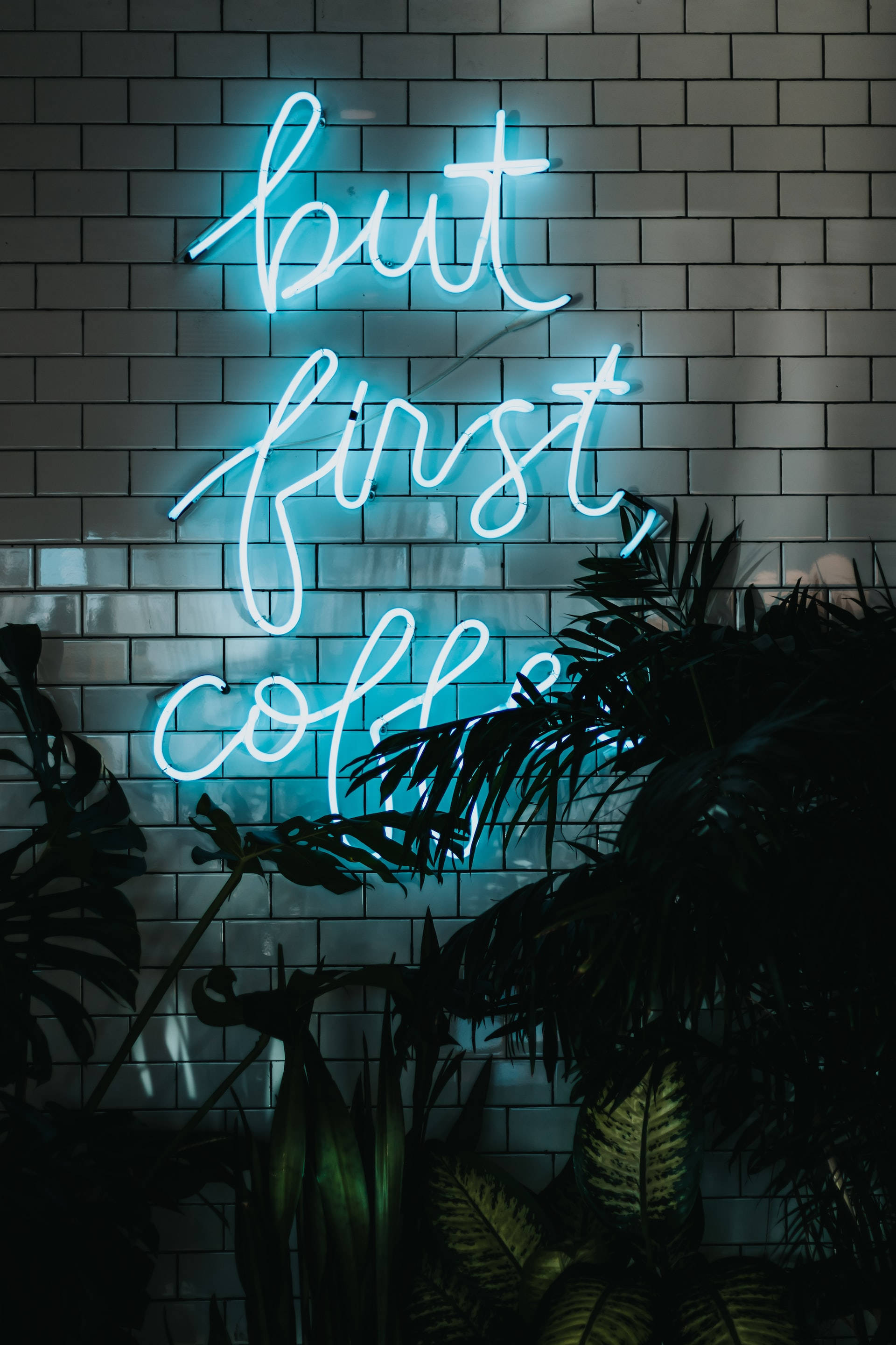 neon blue, but first coffee, glowing blue neon sign, 2K Phone Wallpaper