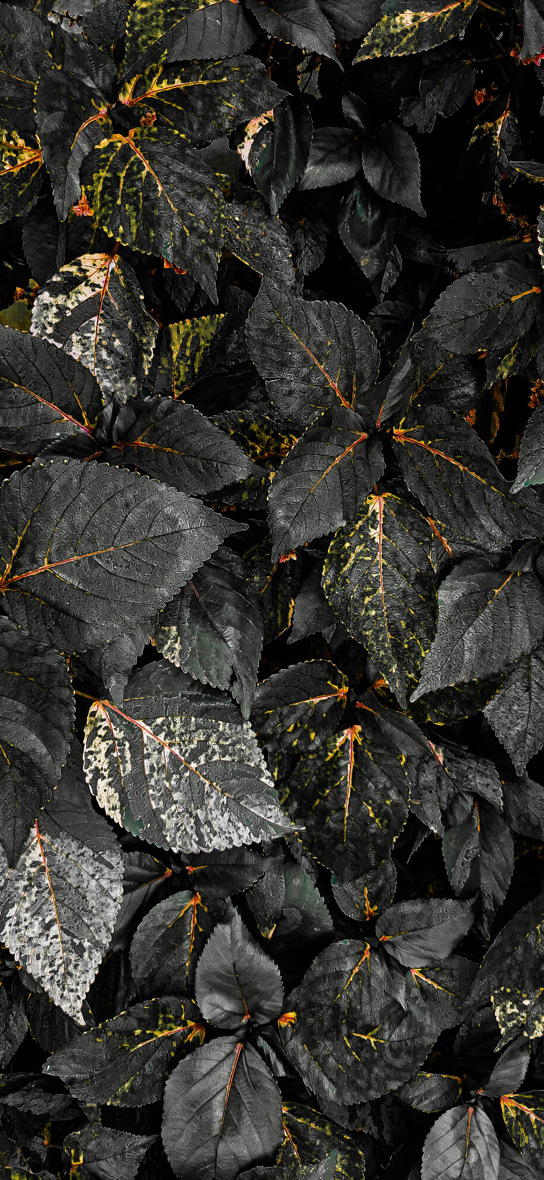 iPhone X, leaf, glossy, 4K Phone Wallpaper