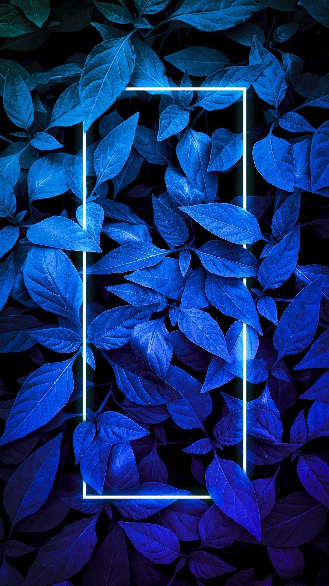 Neon Blue, glowing rectangle, dark background, Full HD Phone Wallpaper