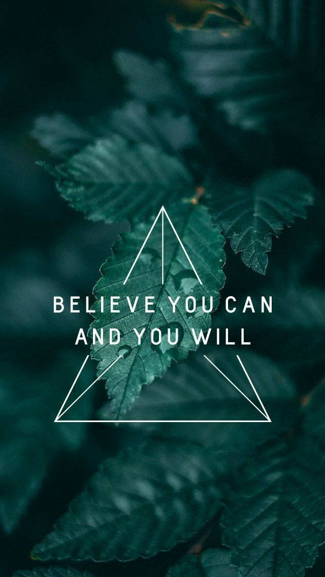 dark green leaves, white geometric triangle frame, motivational quote, SD Phone Wallpaper