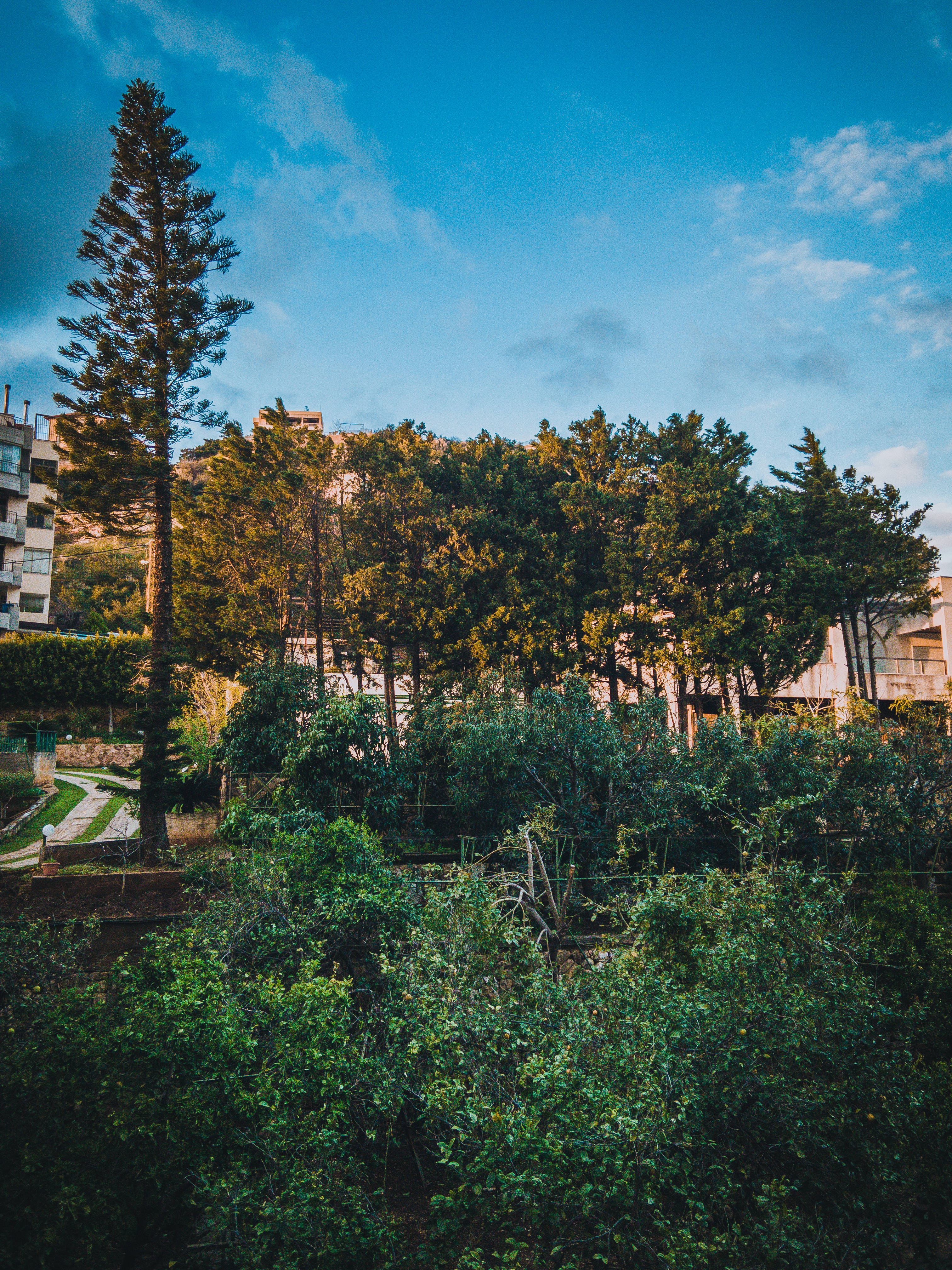 Lebanon, green, blue, 4K Phone Wallpaper