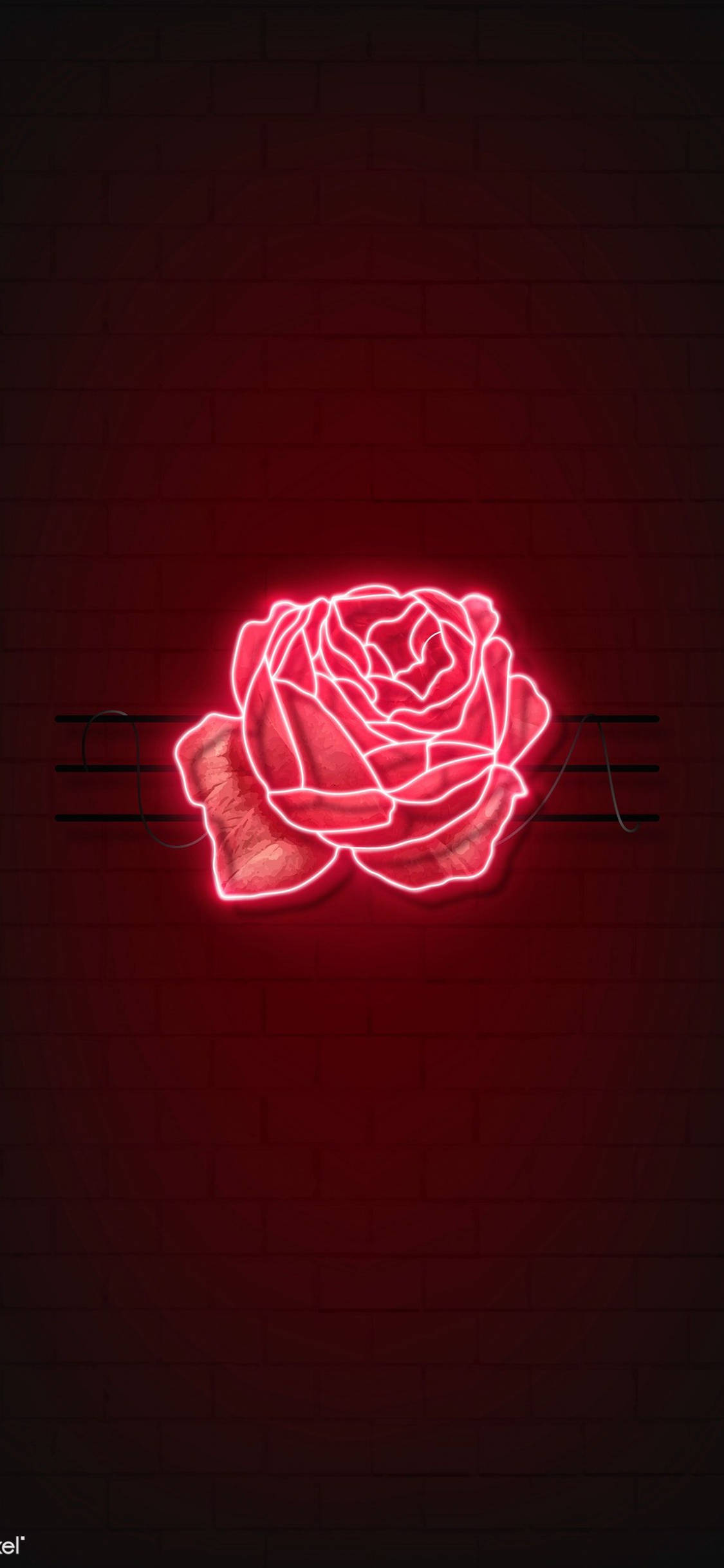 red rose, LED light, neon rose sign, Full HD Phone Wallpaper