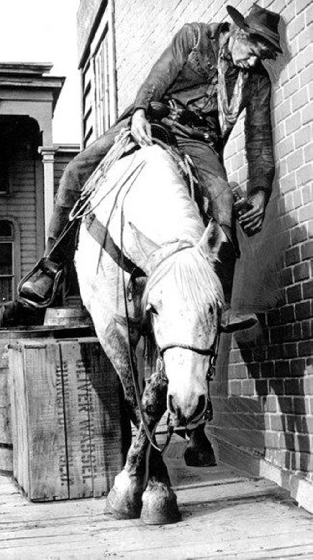 Lee Marvin, horse, brick wall, HD Phone Wallpaper