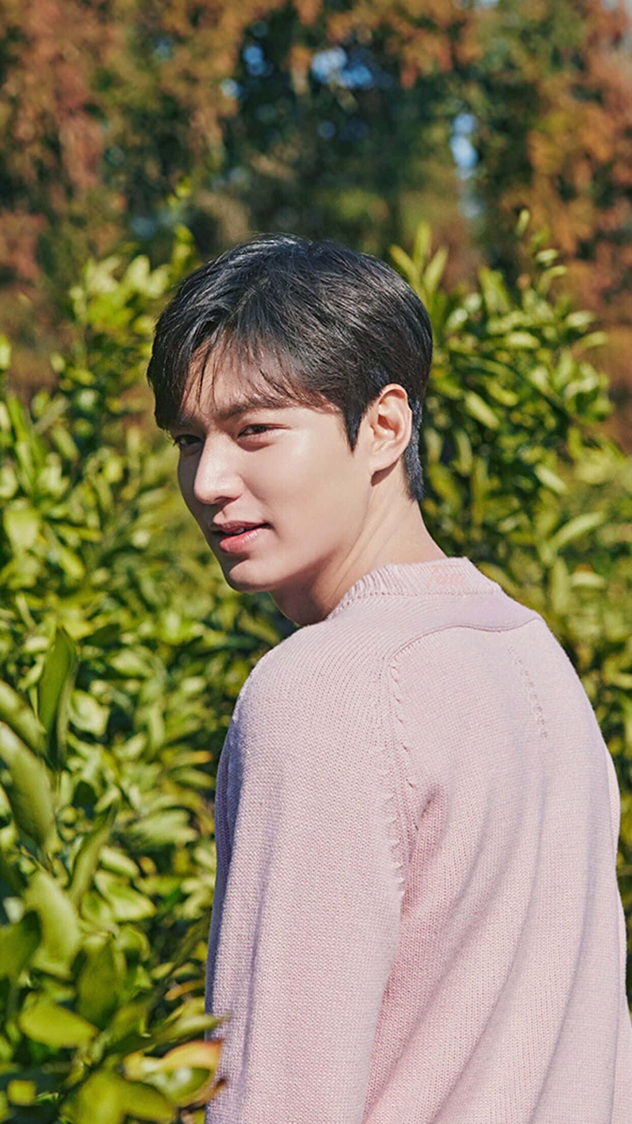 Lee Min Ho, soft pink sweater, sunlit green, Full HD Phone Wallpaper
