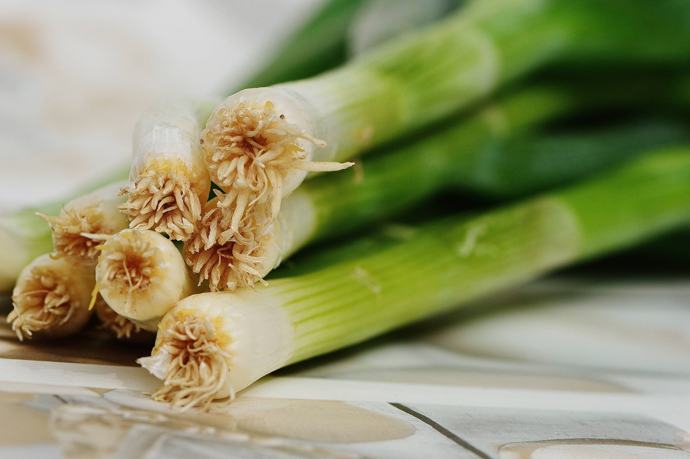 leek, green stalks, white bulbs, Full HD Desktop Wallpaper