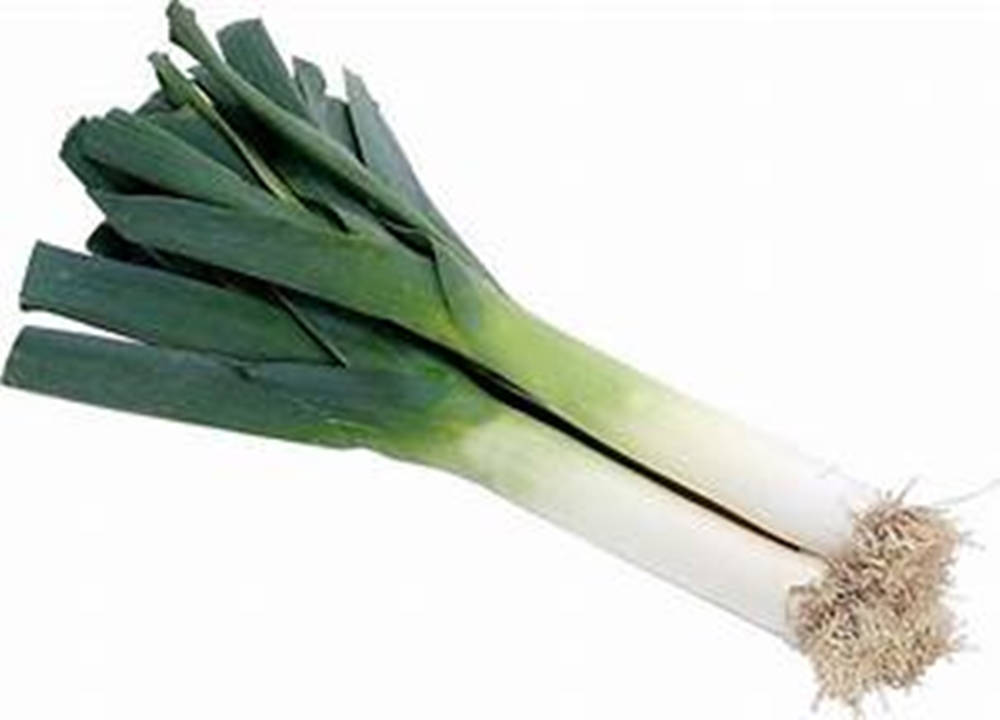leek, vibrant green leaves, crisp white stalks, SD Desktop Wallpaper