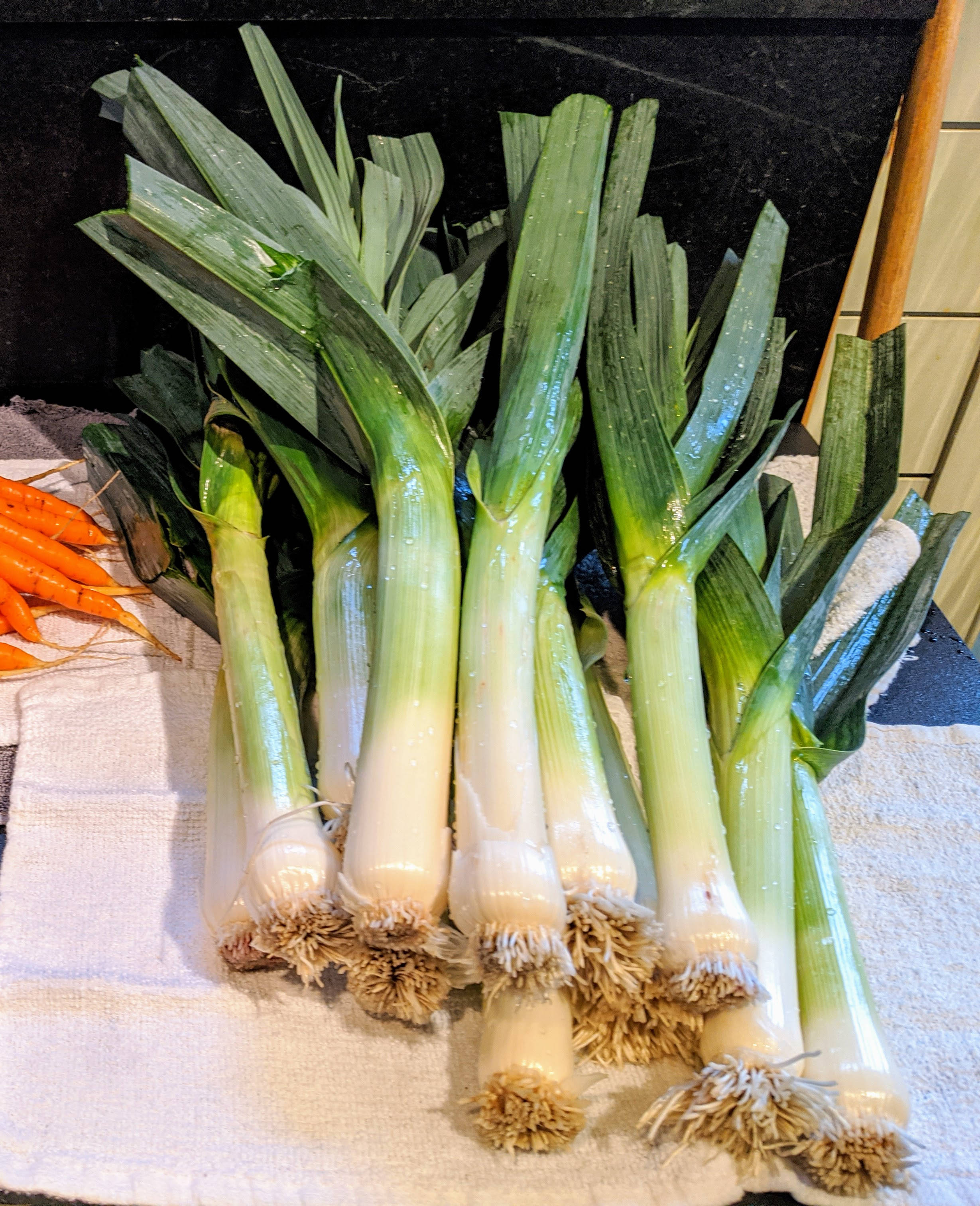 leek, green stalks, white bulbs, 2K Phone Wallpaper