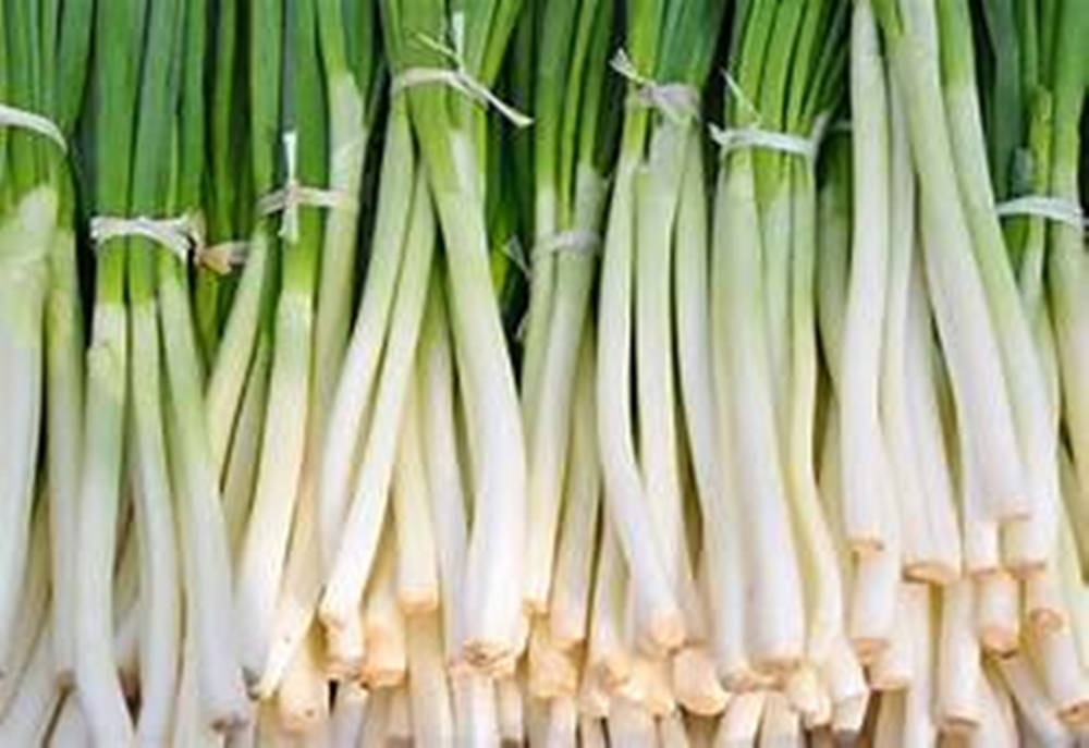 crisp leek bundles, twine, white stems, SD Desktop Wallpaper