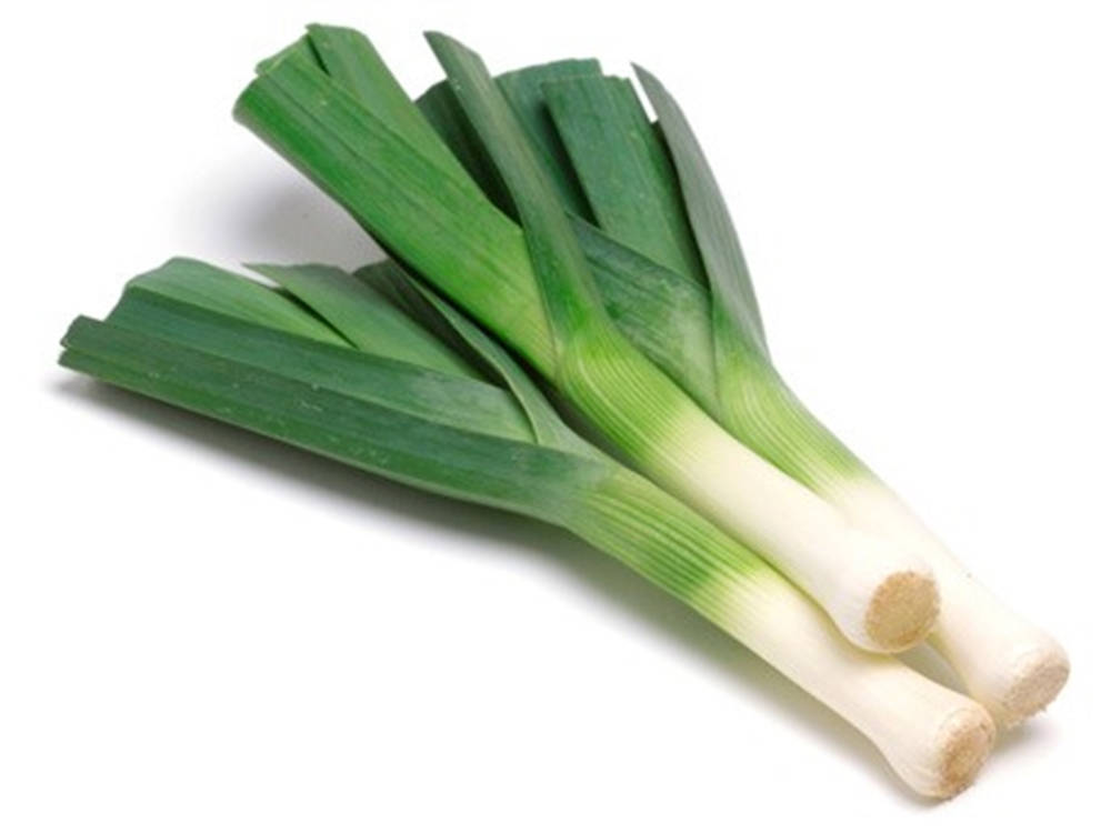 leek, green, white bases, SD Desktop Wallpaper