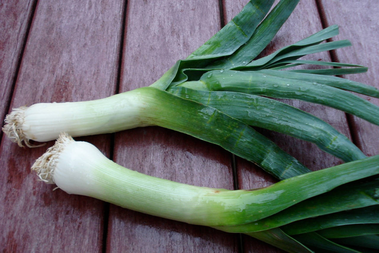 wet leek, green stalks, white bulbs, HD Desktop Wallpaper