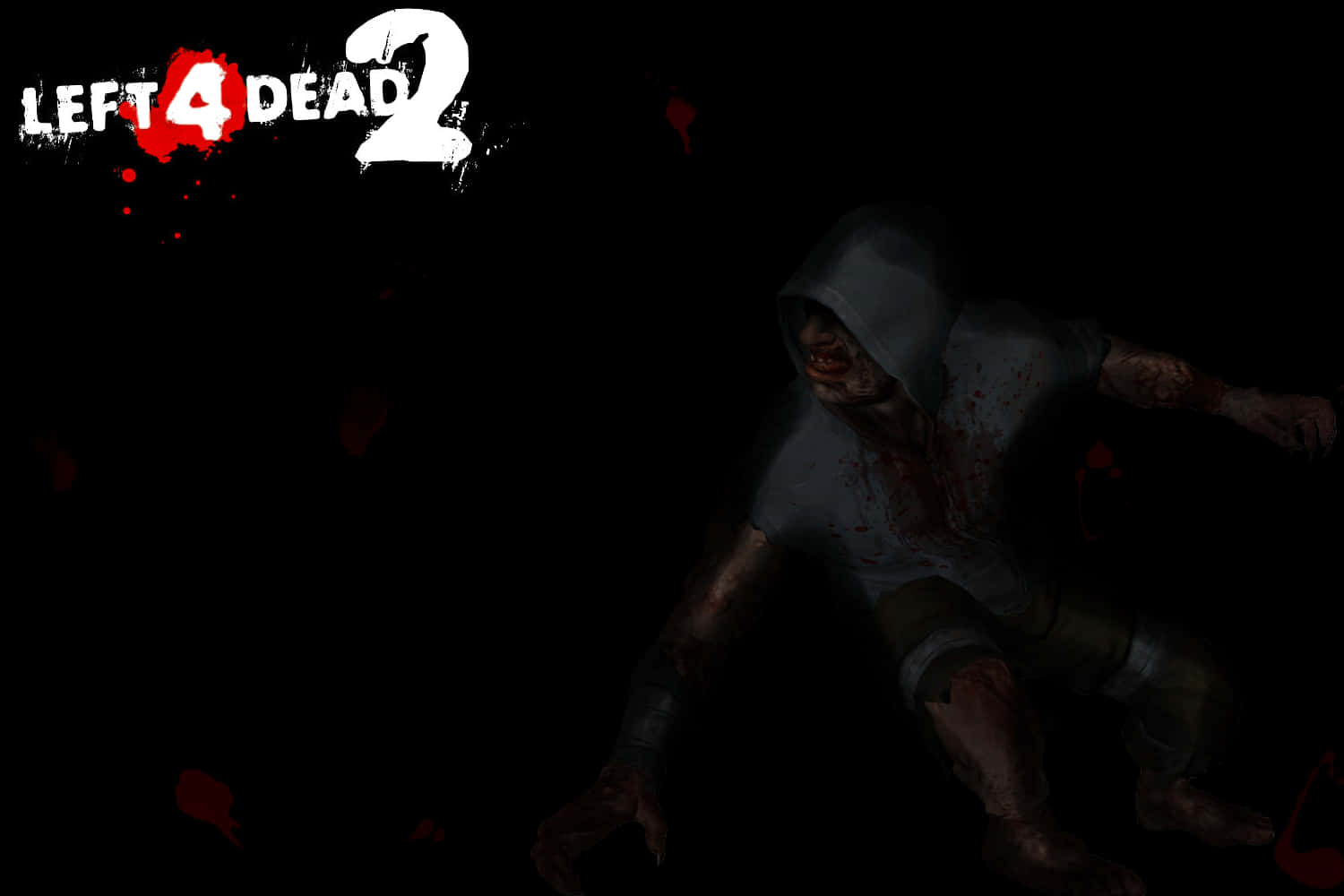 Left 4 Dead 2, boy in a hoodie, zombie in a hoodie, HD Desktop Wallpaper