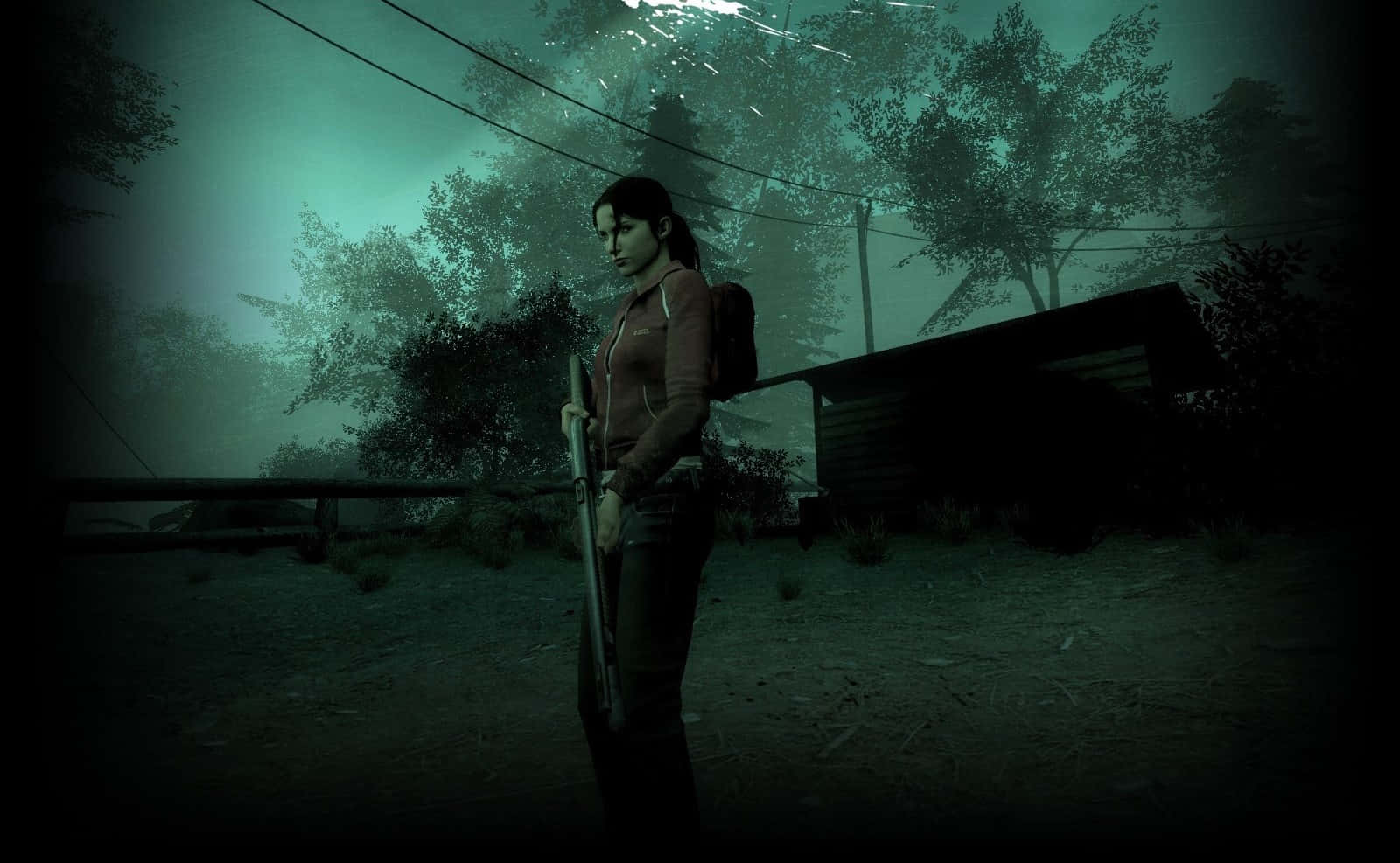 Left 4 Dead Characters, woman with a rifle, misty green forest, HD Desktop Wallpaper