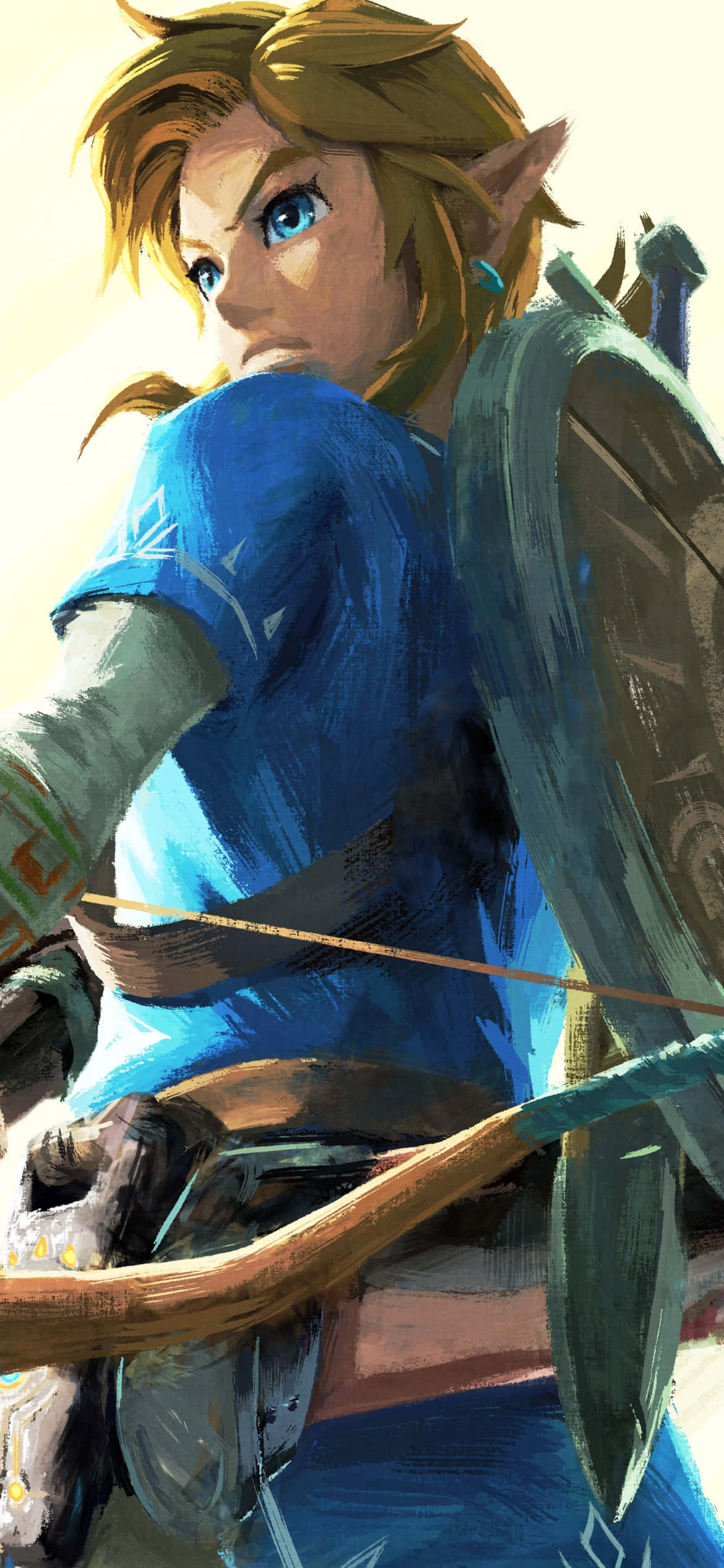 the legend of zelda breath of the wild, elfin warrior, blue tunic, Full HD Phone Wallpaper