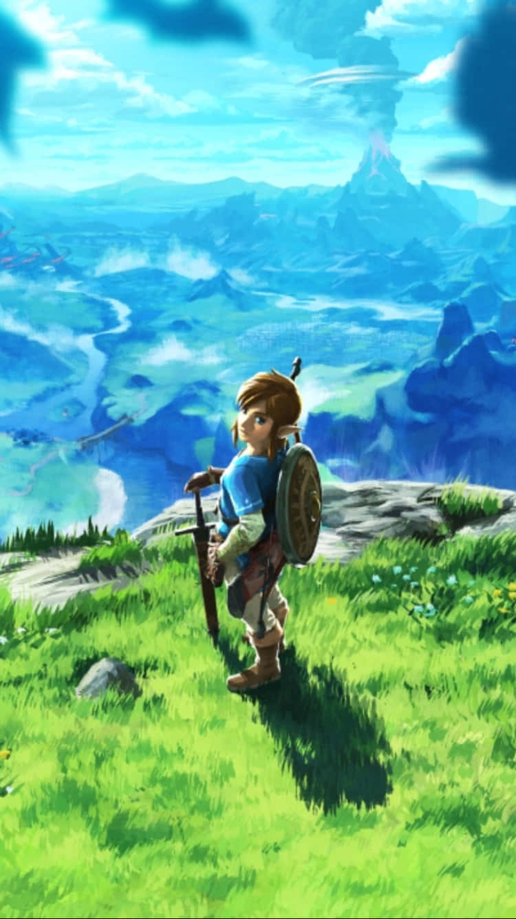 The Legend of Zelda: Breath of the Wild, young hero, grassy cliff, HD Phone Wallpaper
