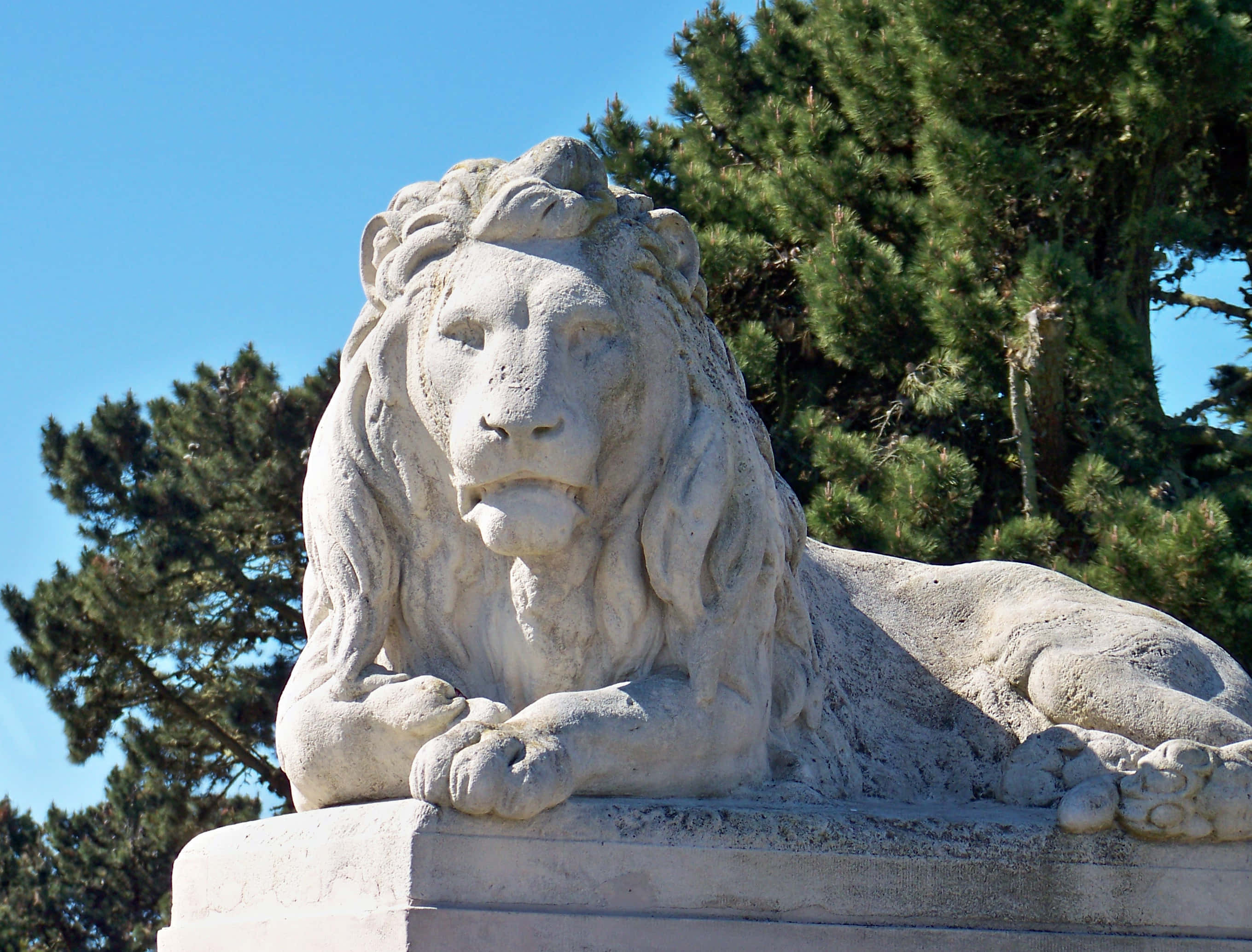 Legion Of Honor, lion statue, stone lion statue, 2K Desktop Wallpaper