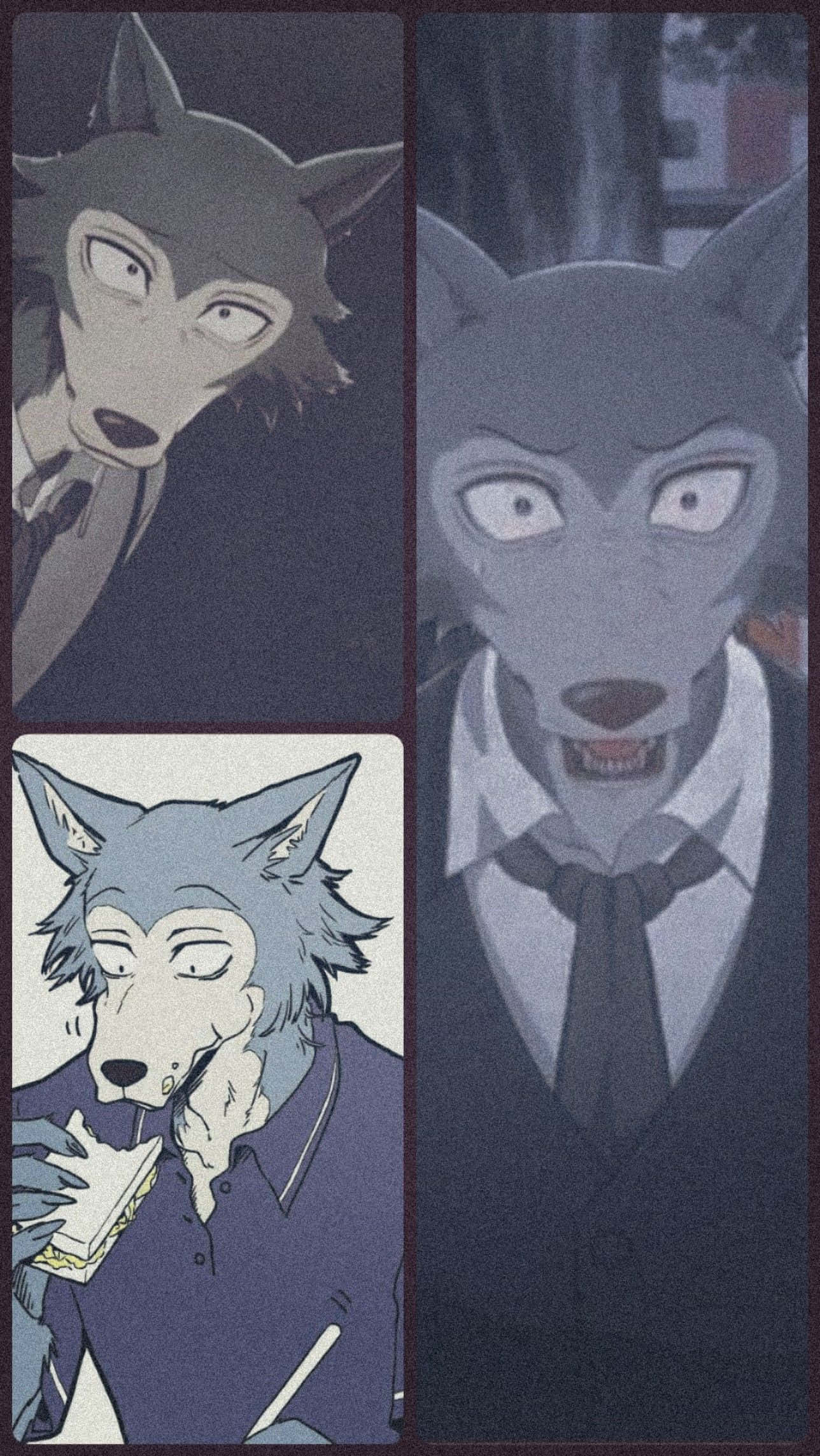 Legosi, anime wolf characters, suits, Full HD Phone Wallpaper
