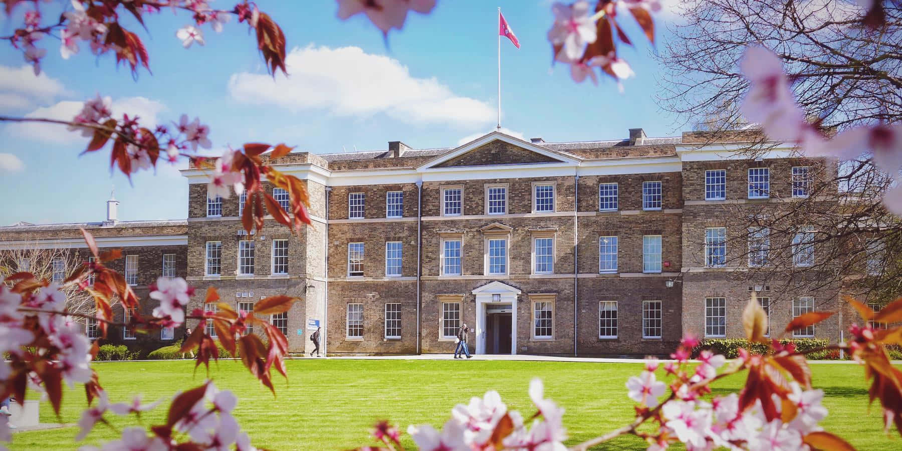 Leicester, historical building, cherry blossoms, HD Desktop Wallpaper