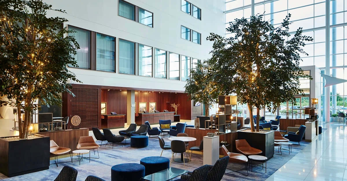modern hotel lobby, Leicester U K, tall trees, SD Desktop Wallpaper