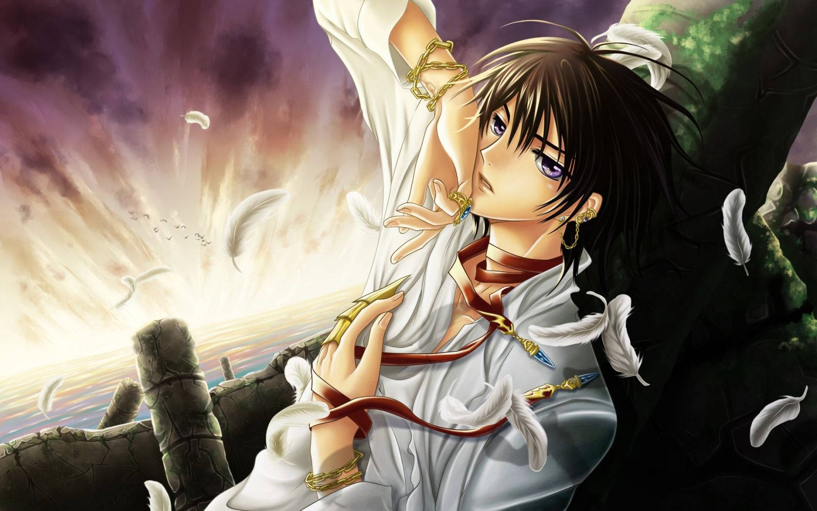 Lelouch lamperouge, dark hair, purple eyes, HD Desktop Wallpaper
