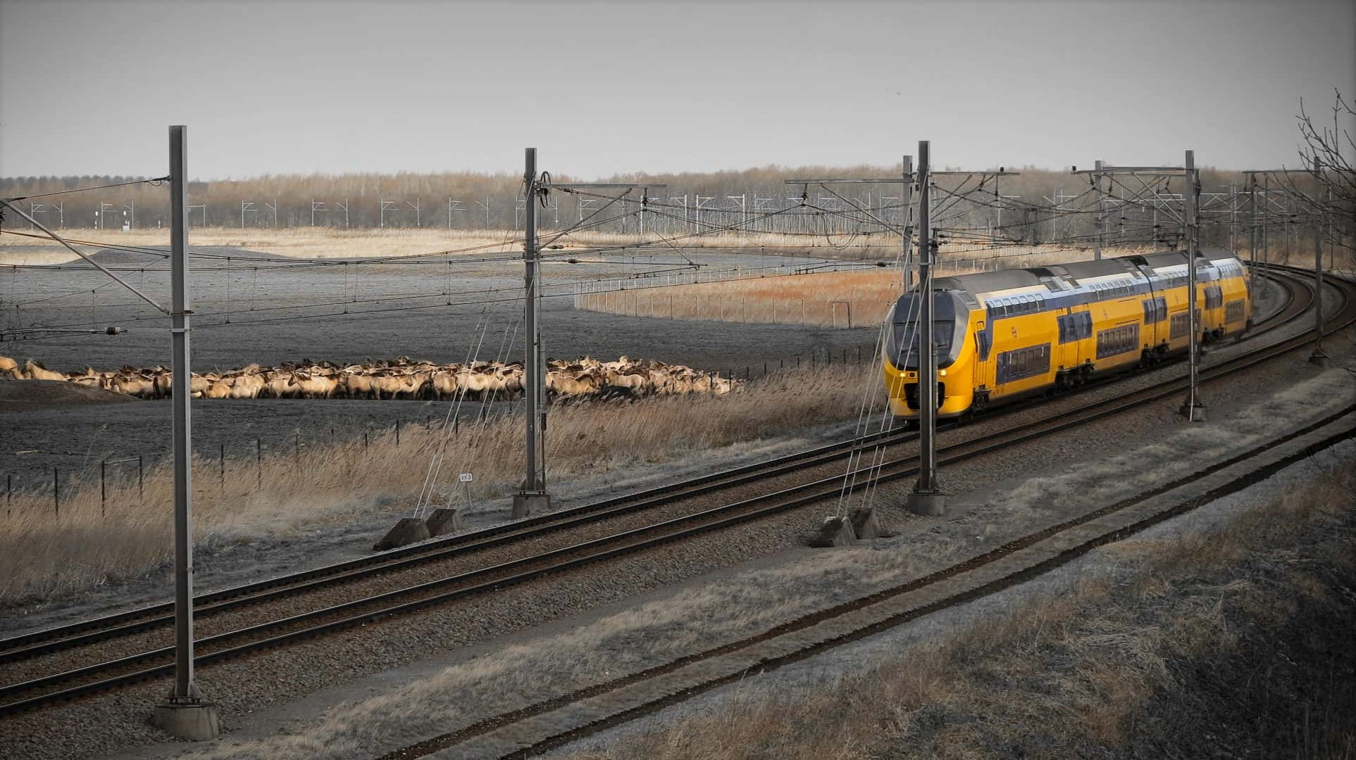 Lelystad, train, countryside, Full HD Desktop Wallpaper