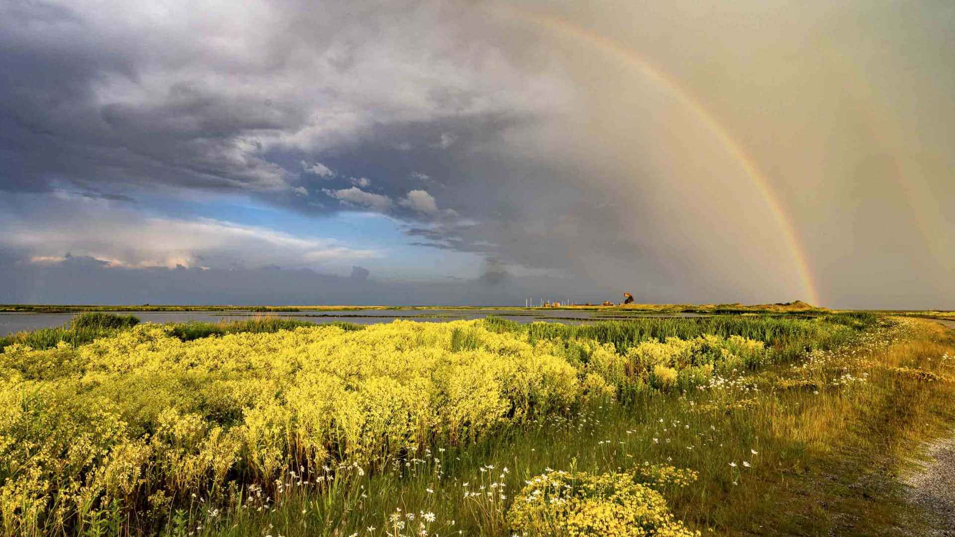 Lelystad, rainbow, wetlands, Full HD Desktop Wallpaper